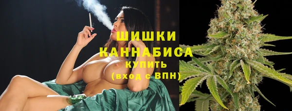 крисы Дмитровск