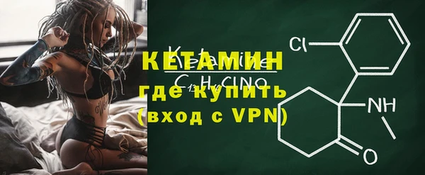 крисы Дмитровск