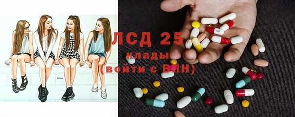 крисы Дмитровск