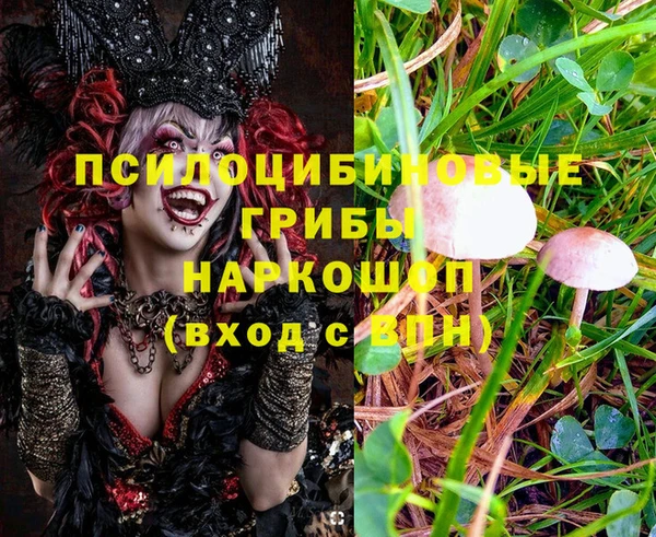 мескалин Дмитров