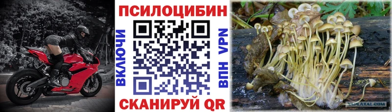 Псилоцибиновые грибы GOLDEN TEACHER Купить где Еманжелинск